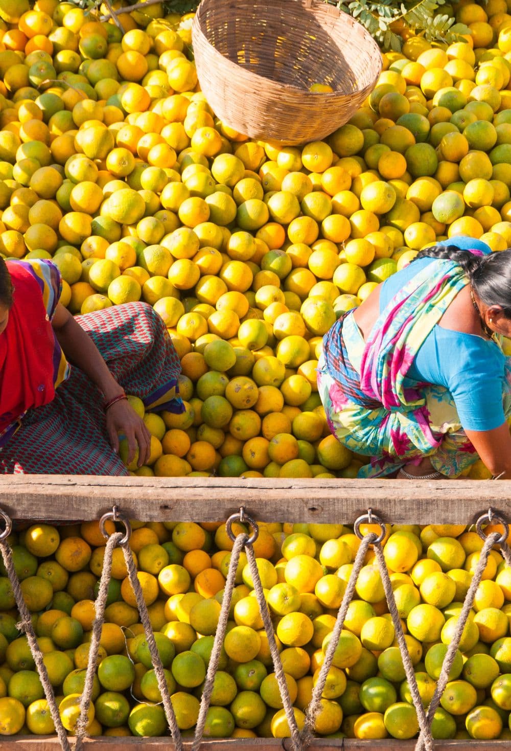 Local Enterprise & MSME Supply Chain Model