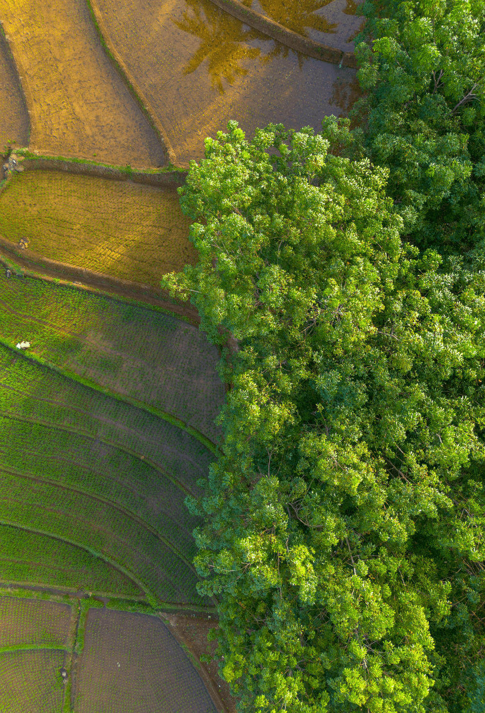 Ecology and Community image