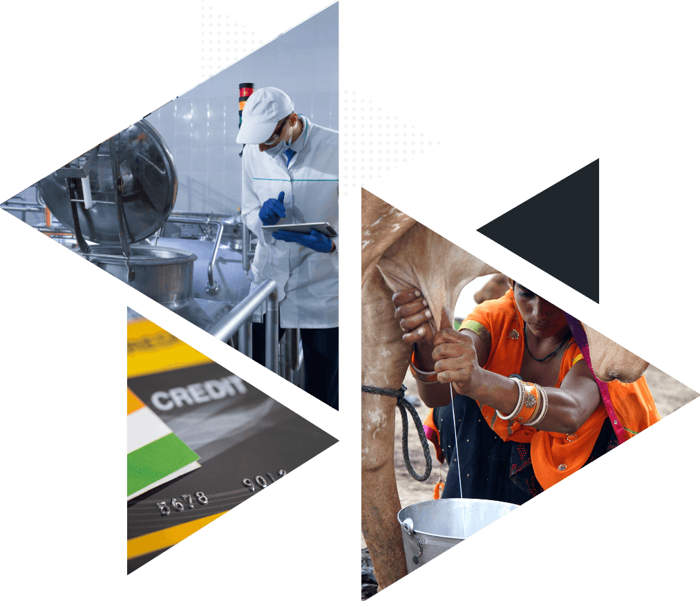 Cooperative Banking Image