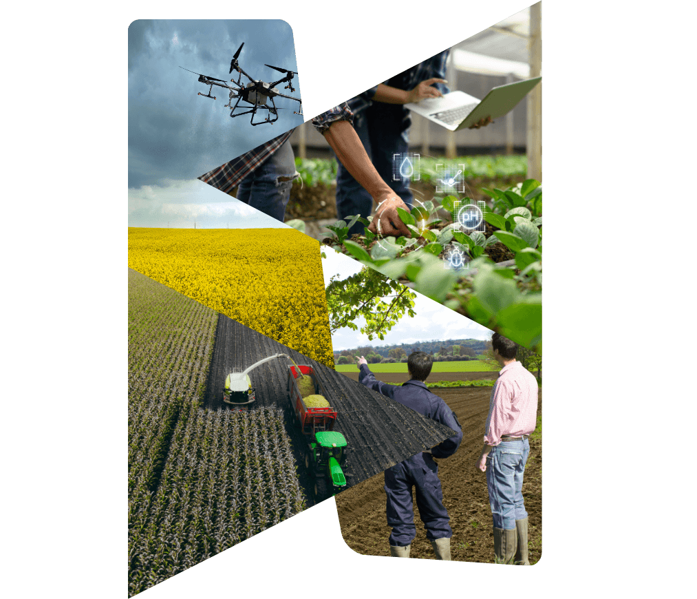 Central Thesis Image