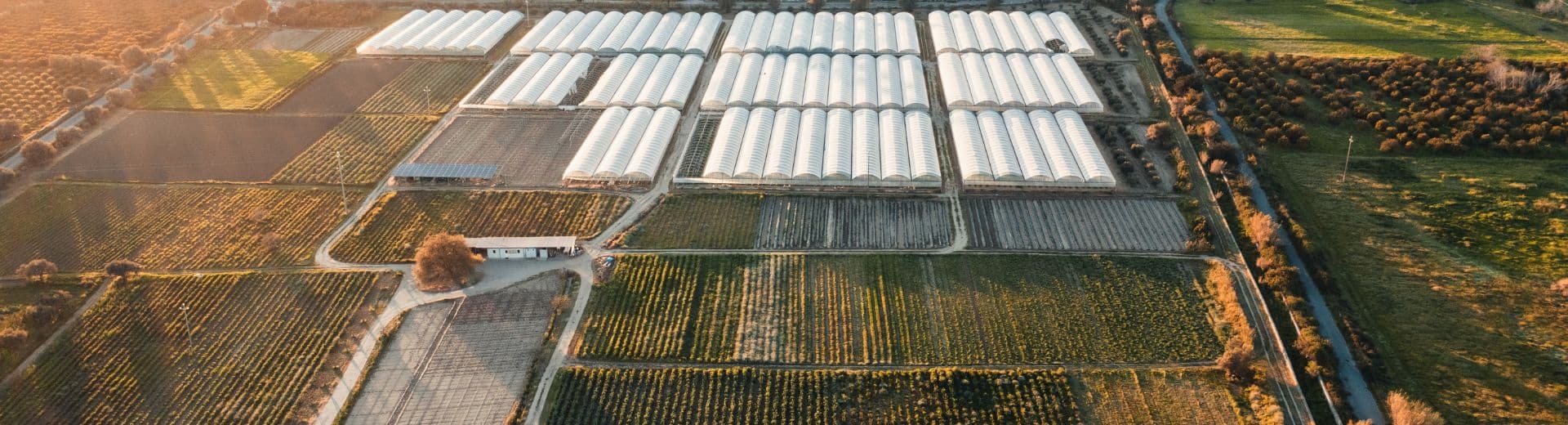 Research Projects - Urvara Agricultural Research Foundation