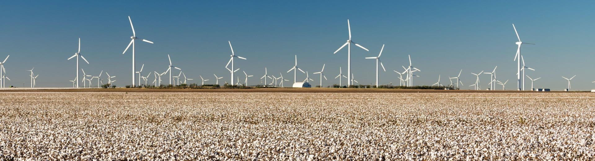 Research Agenda - Urvara Agricultural Research Foundation