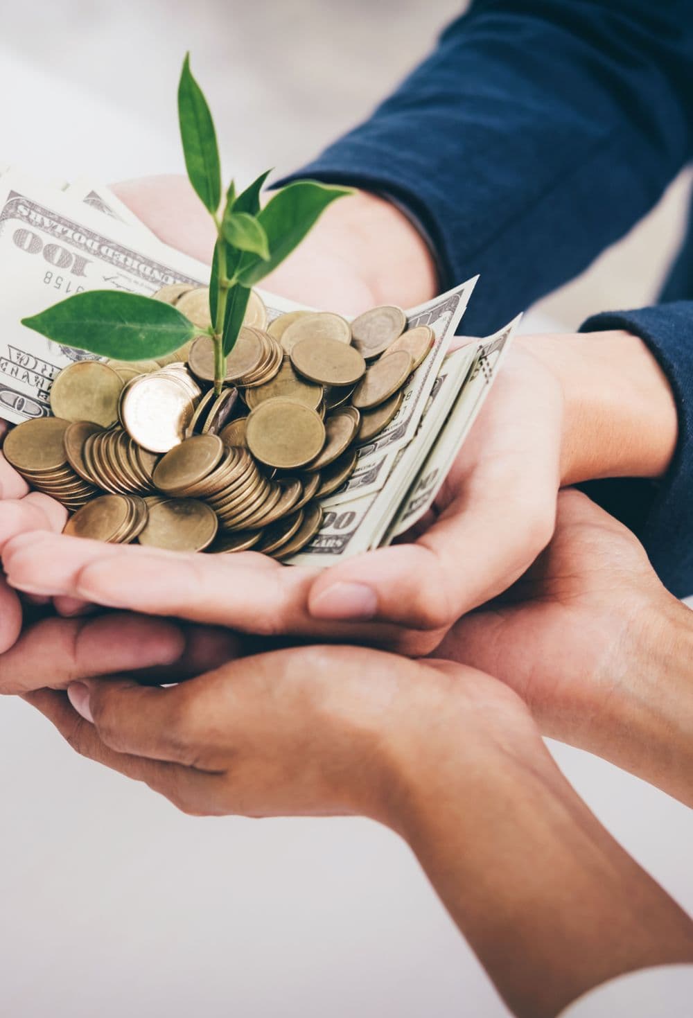 Rural Employment-Led Credit Expansion Model