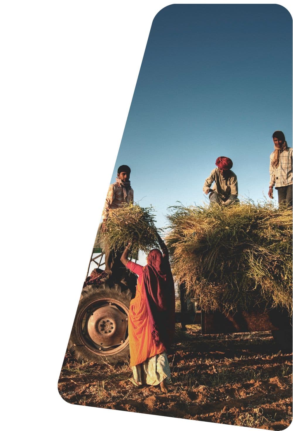 Systems-Oriented Research Methodology