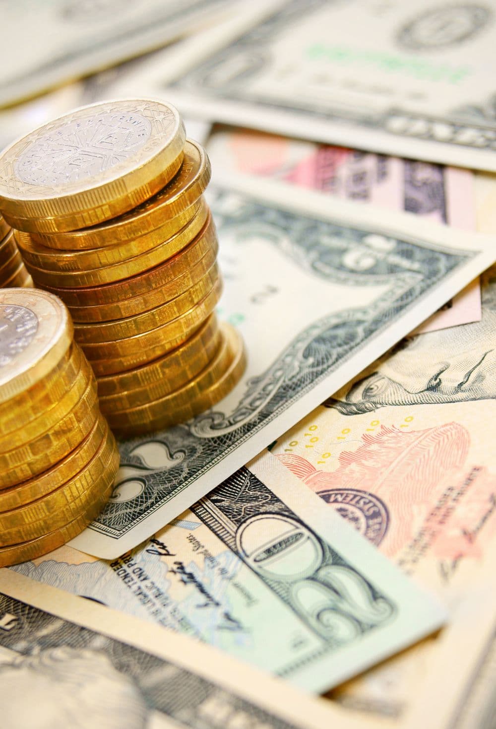 Capital Formation in Rural Economies