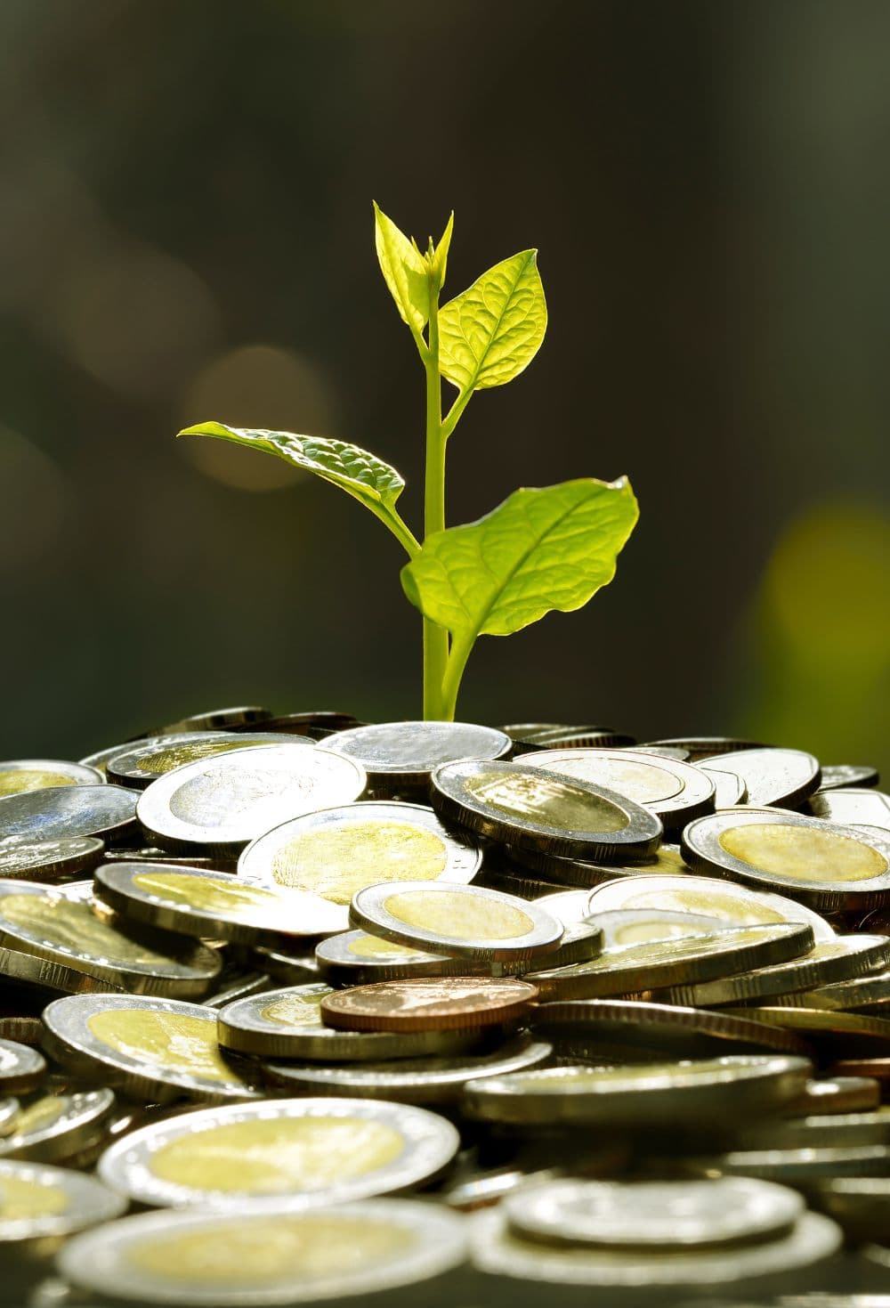 Cooperative Banking Integration Model