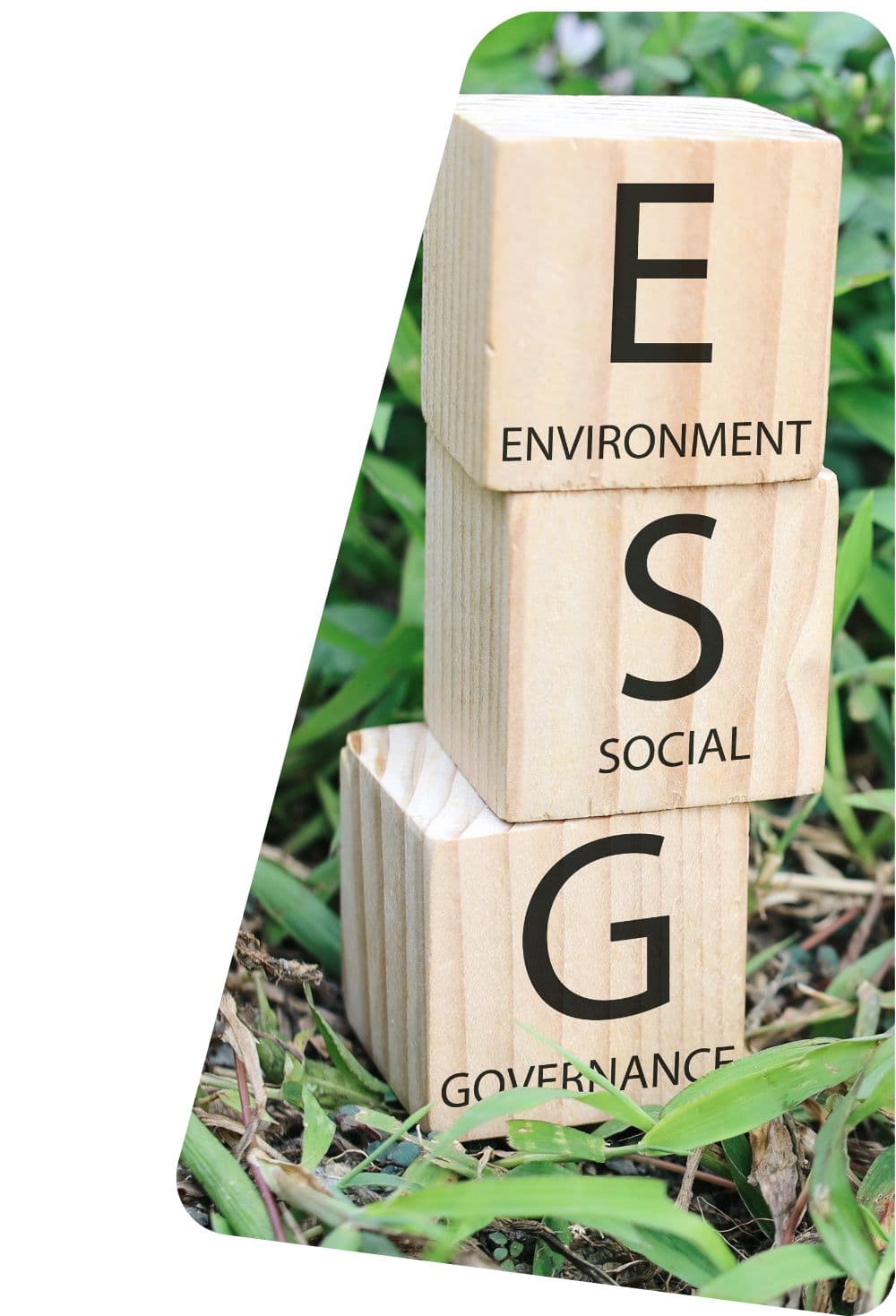 Environmental & Sustainability Modeling