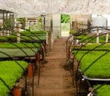 Slider thumb image 1