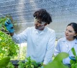 Slider thumb image 3